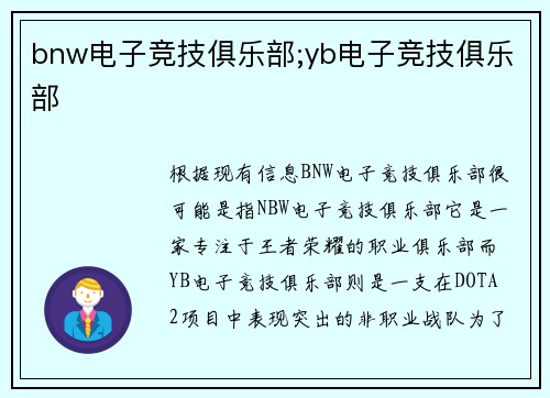 bnw电子竞技俱乐部;yb电子竞技俱乐部